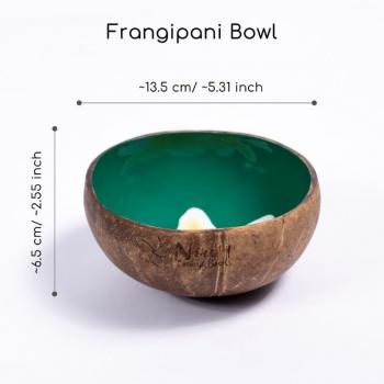 Coconut bowl frangipani hand-painted